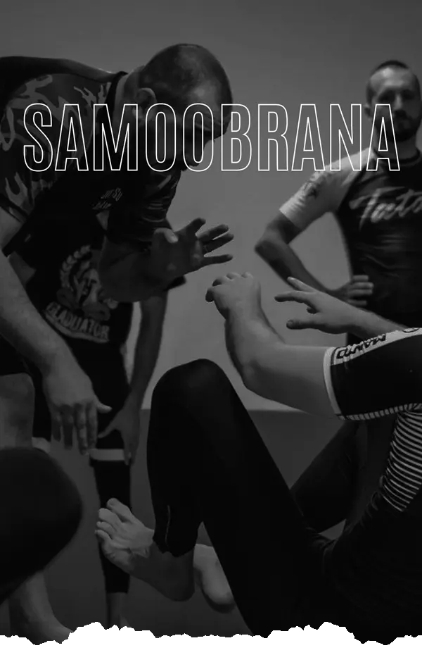 Samoobrana - tehnike samobrane